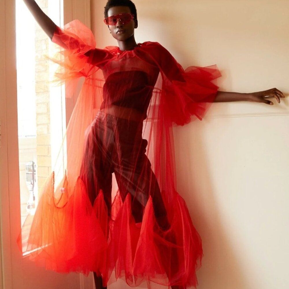 Kate HEWKO NWT Avant Garde Tulle Overlay in RED (sold out) OS